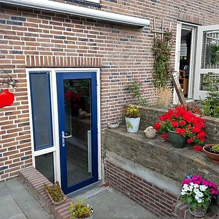 De Blauwe Tulp 3*